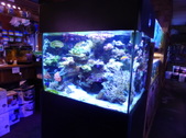 Enlarge photo 15