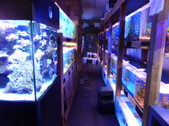 Enlarge photo 16