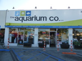 The Aquarium