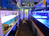 Enlarge photo 13