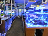 Enlarge photo 16