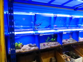 Enlarge photo 12