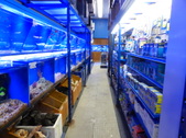 Enlarge photo 13