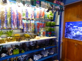 Enlarge photo 17