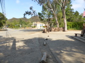 Enlarge photo 11