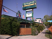 Springbok