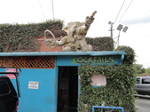 Enlarge photo 21