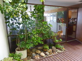 Enlarge photo 17
