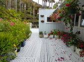 Enlarge photo 19