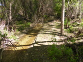 Enlarge photo 17