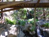 Enlarge photo 17
