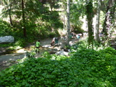 Enlarge photo 23