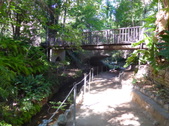 Fern Dell