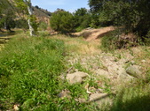 Enlarge photo 17