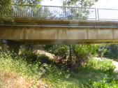 Enlarge photo 21
