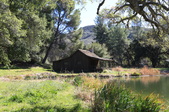 Cabin by The Lake 