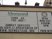 The Vineyard