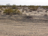 Enlarge photo 23