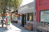 Urchin