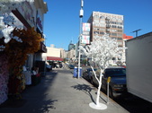 Enlarge photo 15