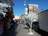 Enlarge photo 16