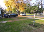 Enlarge photo 20