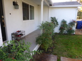 Enlarge photo 22