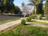 Enlarge photo 18