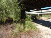 Enlarge photo 18