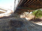 Enlarge photo 19