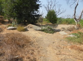 Enlarge photo 14