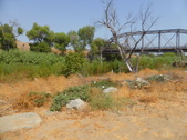 Enlarge photo 18