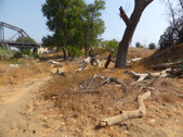 Enlarge photo 20