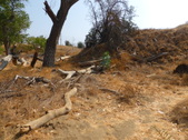 Enlarge photo 21