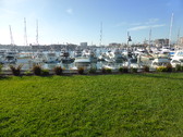 Enlarge photo 15
