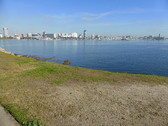 Enlarge photo 15