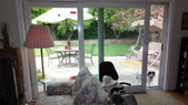 Enlarge photo 17