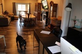Enlarge photo 20