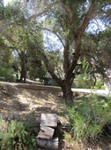 Enlarge photo 2