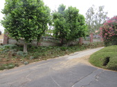 Enlarge photo 18