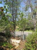 Enlarge photo 15