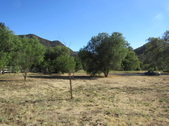 Enlarge photo 17