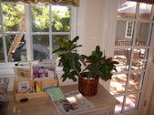 Enlarge photo 13