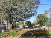 9954 Shoup Ave.