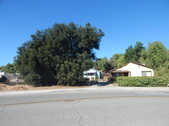 Alicia's house