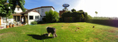 Enlarge photo 10