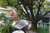 Enlarge photo 17