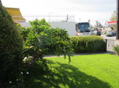 Enlarge photo 23