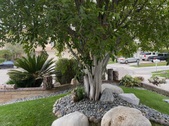 Enlarge photo 13