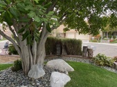 Enlarge photo 21
